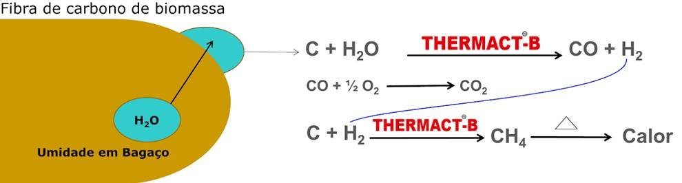 Thermact-B 4 Grupo de mascara 2